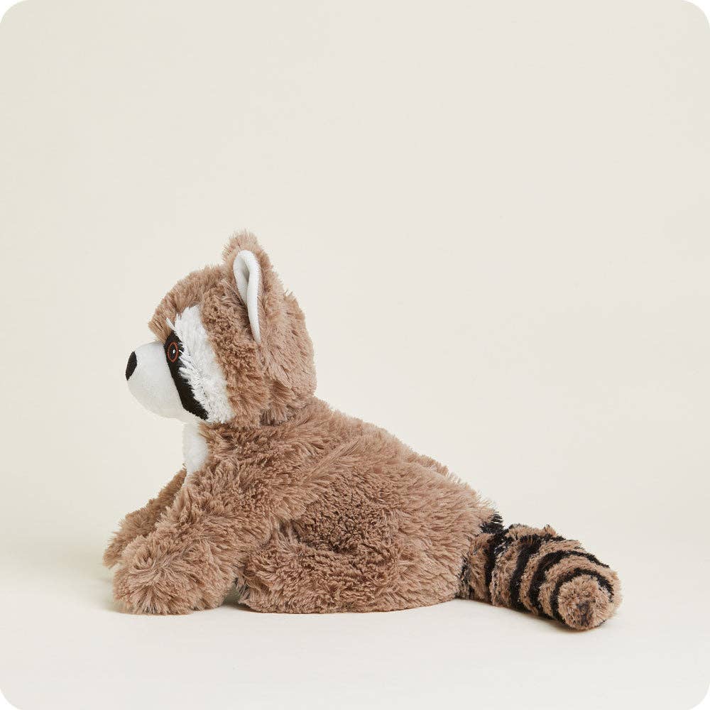 Raccoon