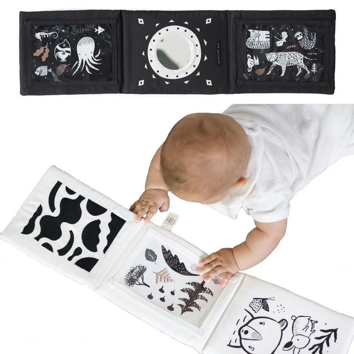 Tummy Time Gallery with Mirror