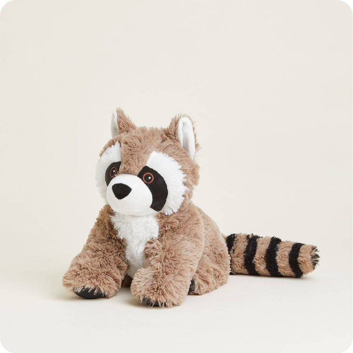 Raccoon