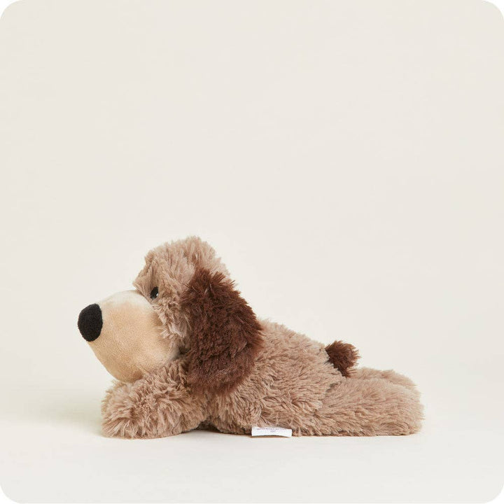 Brown Dog Junior