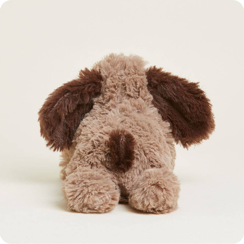 Brown Dog Junior