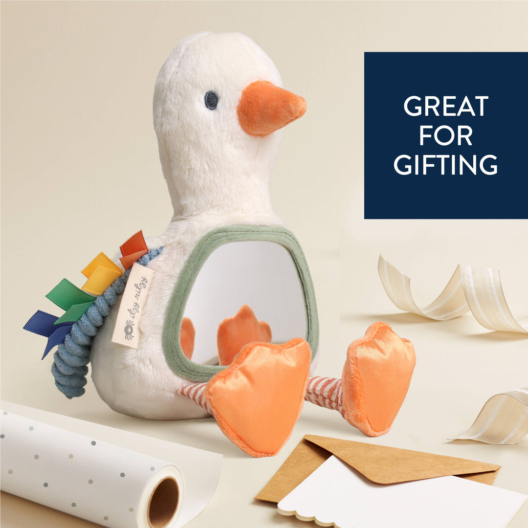 Sensory Tummy Time Mirror - Goose