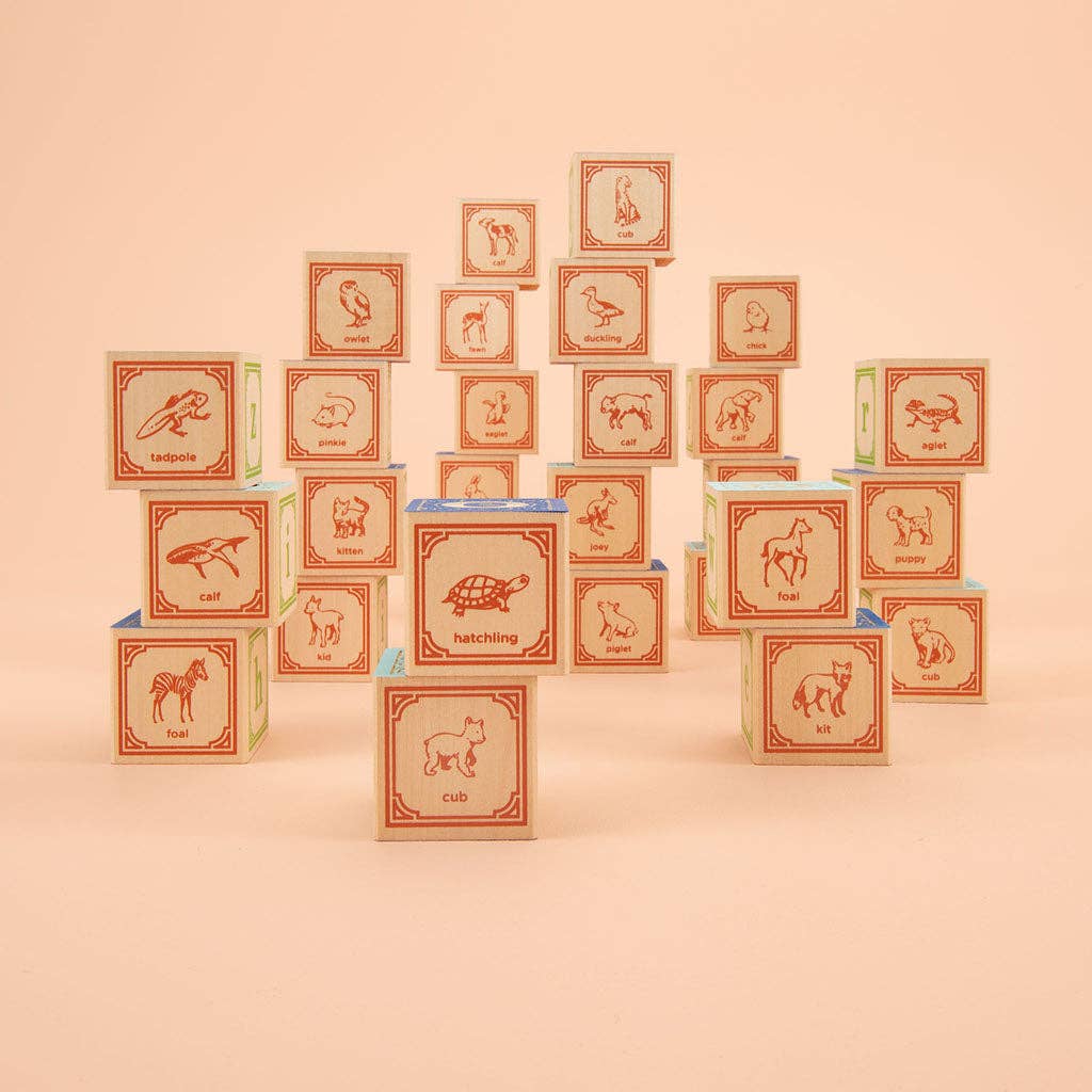 Classic Lowercase ABC Wooden Blocks