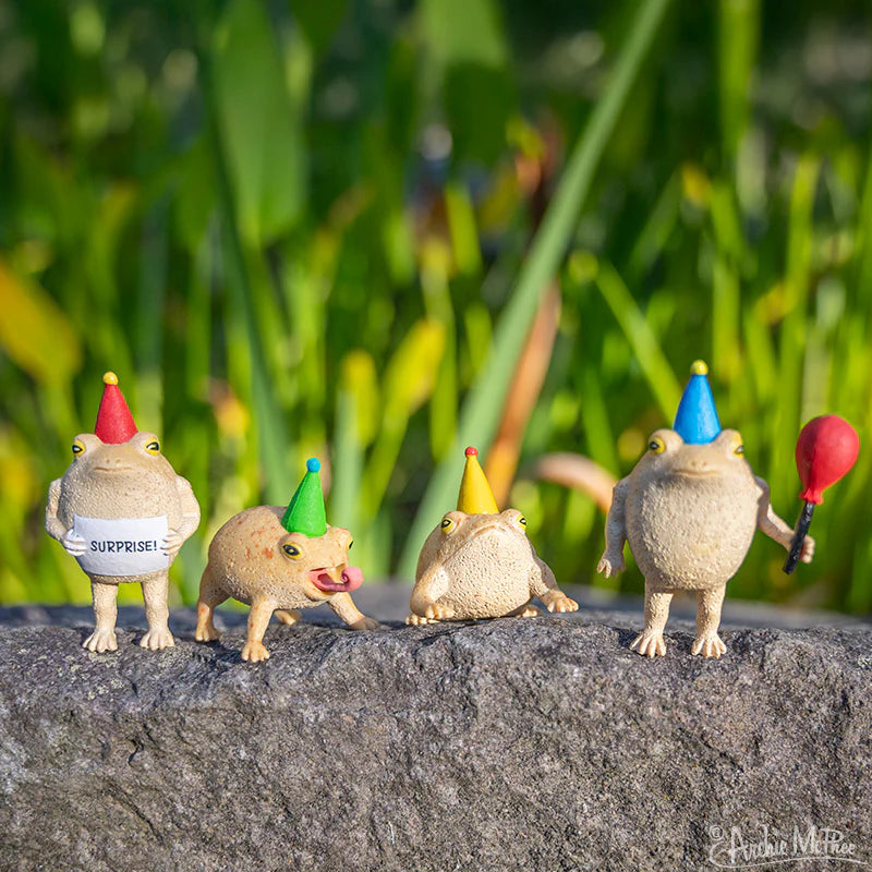 Frogs Set - Party