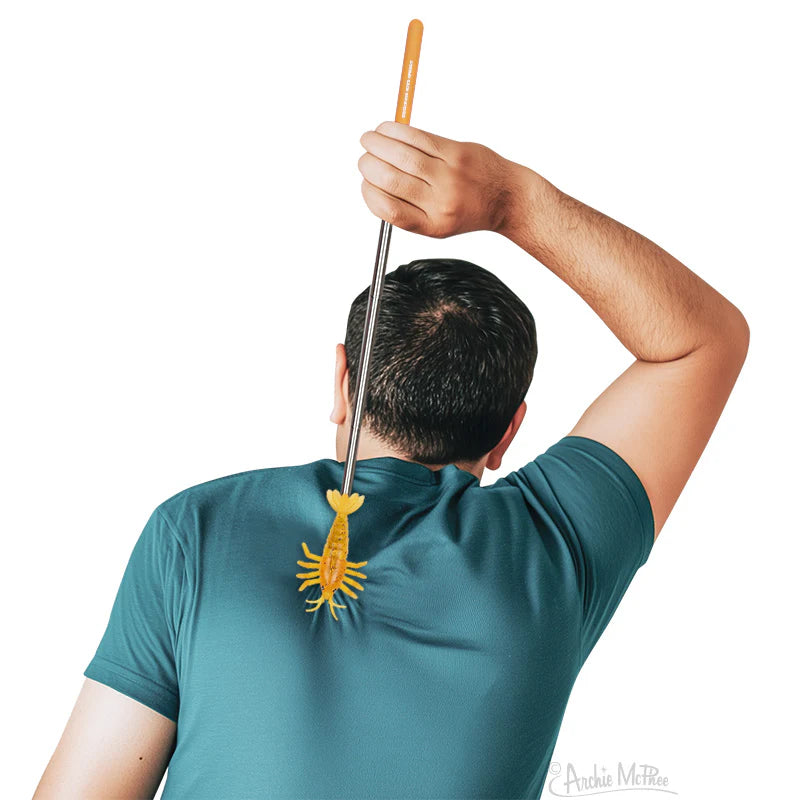 Back Scratcher Shrimp