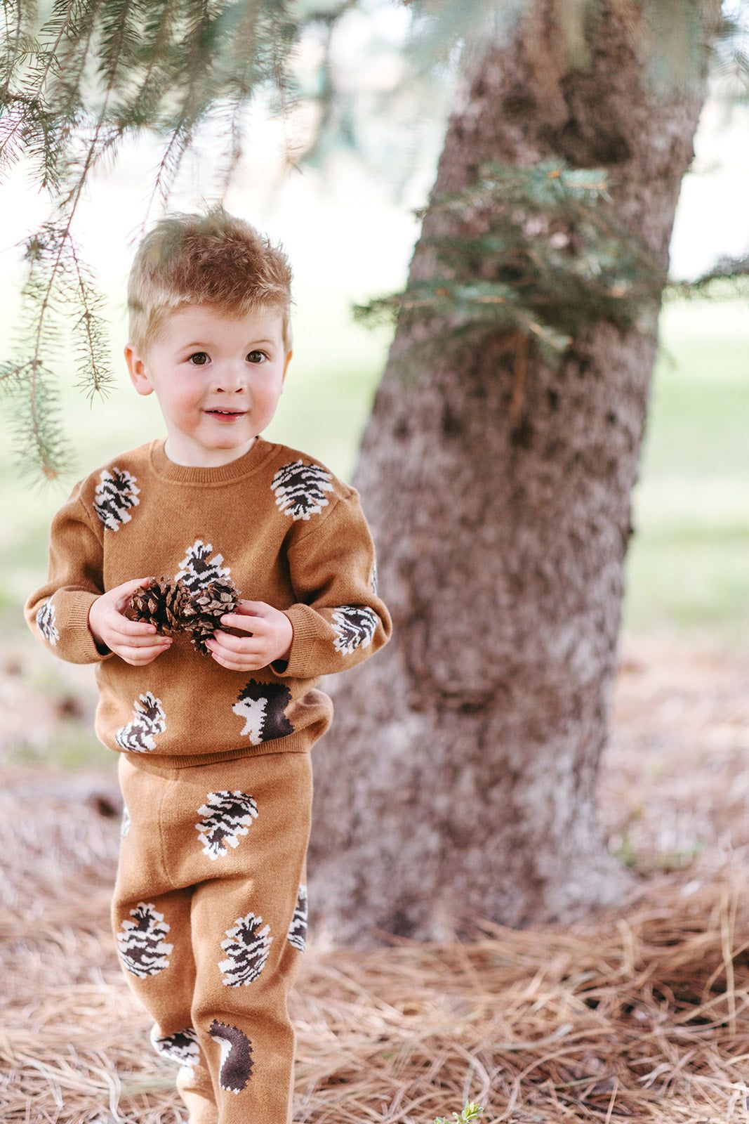 Pinecone + Hedgehog Knit Sweater