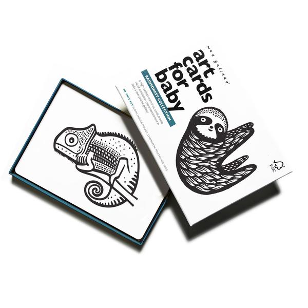 Rainforest Animal Baby Art Cards