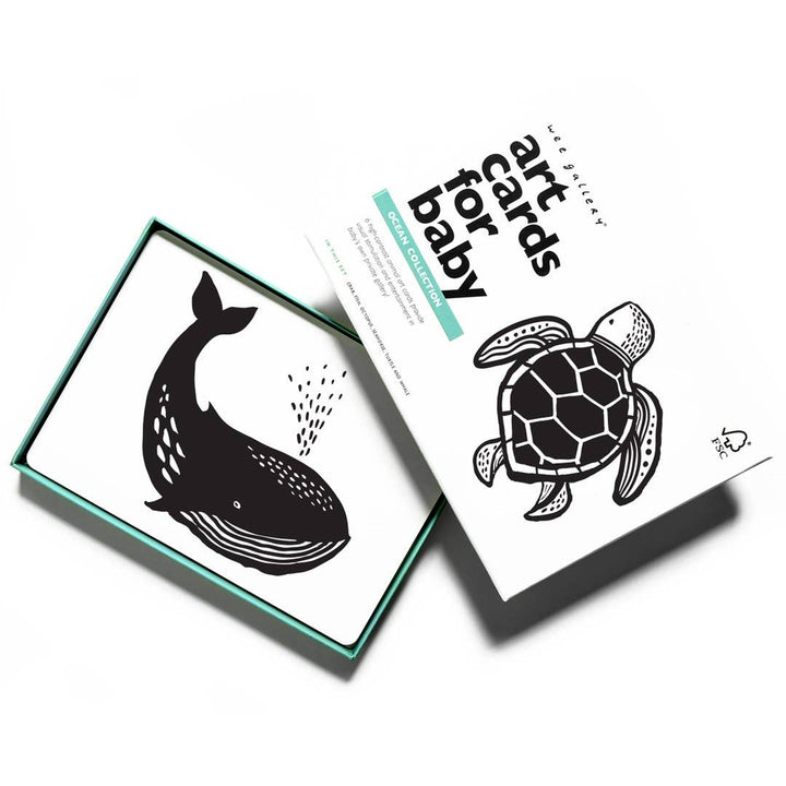 Ocean Animal Baby Art Cards