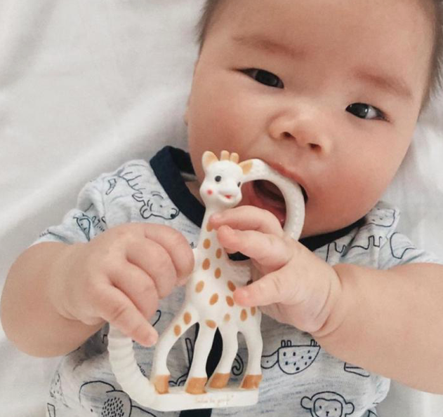 Sophie Teether Ring